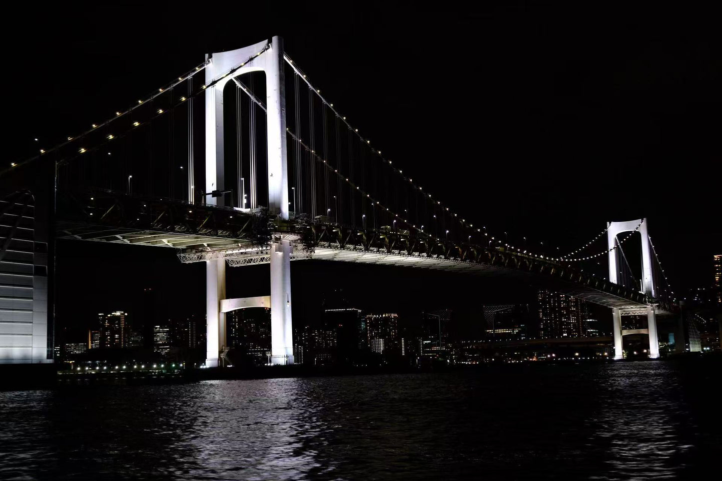 Tokyo Bay: Cruise with Japan Show & Sukiyaki/Optional Beer