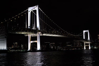 Tokyo Bay: Cruise with Japan Show & Sukiyaki/Optional Beer